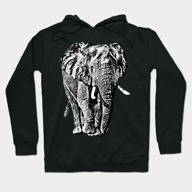 Bull Elephant Front-on View | African Wildlife Hoodie by scotch